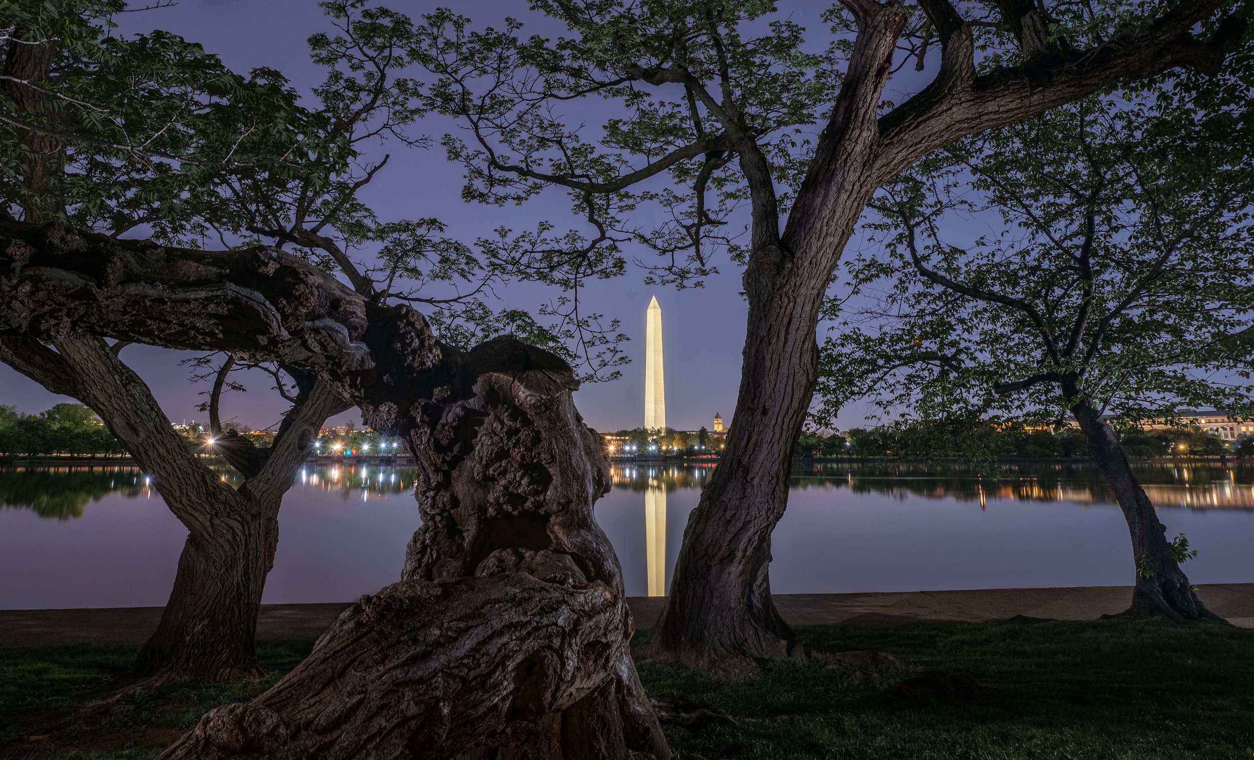 &lt;p&gt;&lt;strong&gt; Washington D.C. &lt;/strong&gt;&lt;br/&gt; Oct 20-25, 2026 &lt;/p&gt;